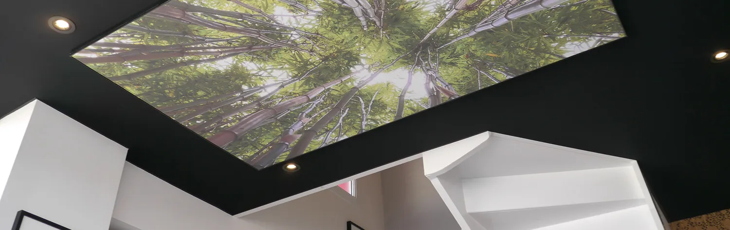 entreprise de peinture saint macaire en mauges